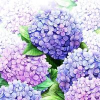 พอตื่นมาอีกทีก็เป็นเด็กซะแล้ว(lookism)