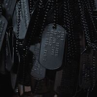 Call of duty[MW2 2022] || Task force 141 × Y/N