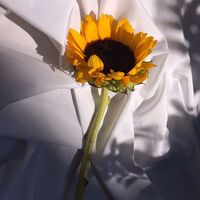 กลับชาติมาเปลี่ยนอดีต <yeosm>