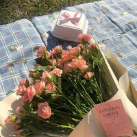 ไม่ชอบพาย — ภีมเปอร์