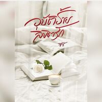 อุบัติร้ายลิขิตรัก [ มี E-Book ]