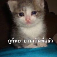 น้องค้าบอย่าพึ่งบล็อค