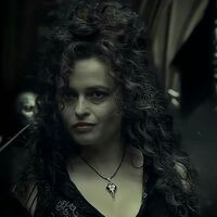 love and hate(Y/N×Bellatrix)
