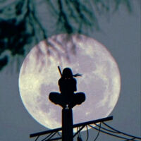 The Will of Fire - AU Naruto | mh