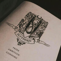 Slytherin scheme - PhuAA