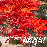 EBOOK/ตัวประกอบ ขอลุย! 