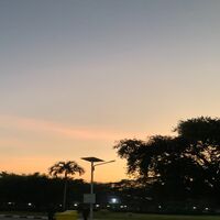 กลิ่นดอกกระทิง [Omegaverse]