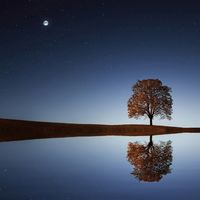 Triangular (FanFic Super Junior)