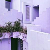 violet room — minno