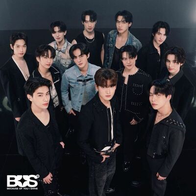 ปิ๊งรักนายซุปตาร์ SS2: นิยายรัก (แชท)