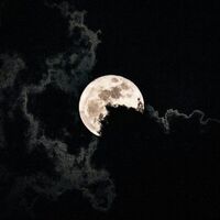 Full moon || GiyuuSane