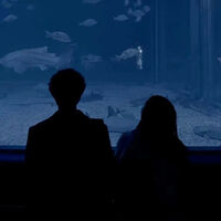 เราคงไปกันไม่ได้มั้ง|peemper