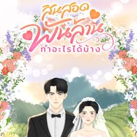 สินสอดพันล้านทำอะไรได้บ้าง (มี ebook)