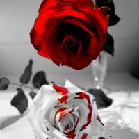 one meeting one lover Joseph​x​Carl​