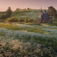 [sf/os] 18Otc's flower field