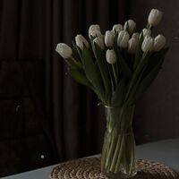 unrequited love|kuroken