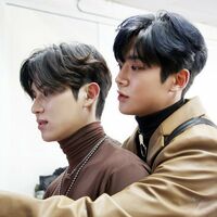 ความรักกำลังก่อตัว ; Rotae