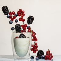 ไฟเบอร์จากธรรมชาติ...กัวร์กัม