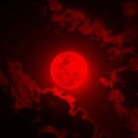 What the....[Lookism Mr. scarletella]-งดอัพ-