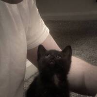 มารักอย่าดื้อ