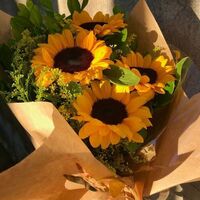 Miya's twins are said to be beautiful | Haikyuu