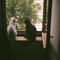 กลับมาคบกันเถอะ;phuaa