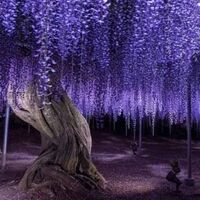 [KNY fanfic] ใดๆล้วนแล้วกิยูคือที่ดี (Allgiyuu)