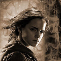 Please, Save Me (tomxhermione)