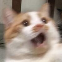 ลงงานวาดเฉยๆทุกด้อมแต่กุติดforsaken- (คลังที่ลงงานวาดไหม่)