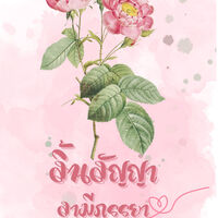 สิ้นสัญญา สามีภรรยา 