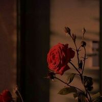 𝙾𝚗𝚎 𝚍𝚊𝚢 𝚍𝚊𝚝𝚒𝚗𝚐  <𝚜𝚎𝚙𝚑𝚌𝚊𝚛𝚕>