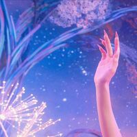 make a wish (sungwon)