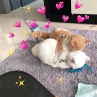 (os/sf) with you ー haikyuu!  