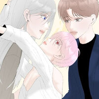 ฮาเร็มของสี่พี่น้อง