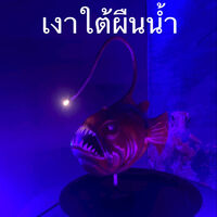 เงาใต้ผืนน้ำ