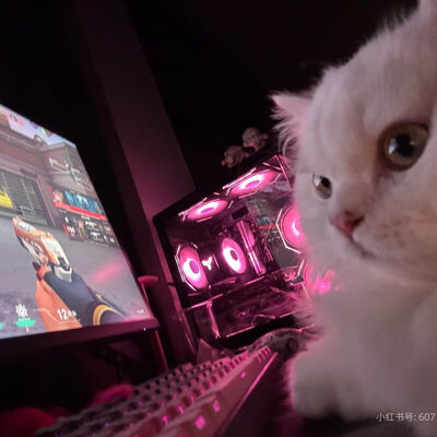 Peach Bot | KengJeff: ฟิค Boy Love (แชท)