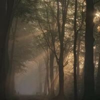 Forsaken X Undertale