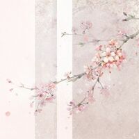 流浪者| นักพเนจรยามค่ำ [BL]