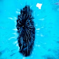 fic Jujutsu kaisen Your Dragon 