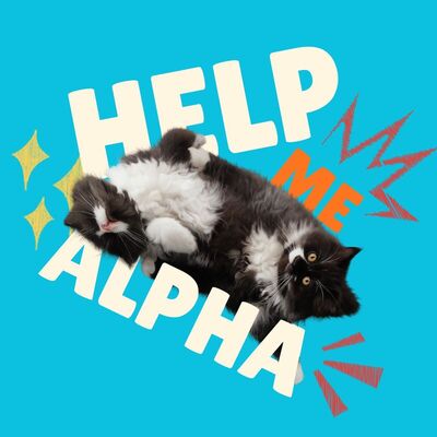 Help Me Alpha! เบต้าจะเล่นอัลฟ่าแล้ว!: นิยายรักวัยรุ่น