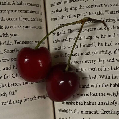 cherry | heeseungxyou² - ten : ฟิค Love Novel (แชท)