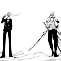 [ZoSan/One piece] Not Today