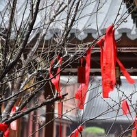 ข้าก็เป็นมารปีศาจของข้าเช่นนี้แล  (YAOI/BL)