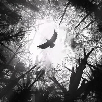 a bleeding crow — 6918: ฟิค Boy Love (บรรยาย)