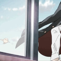 os | Is it love confession ?