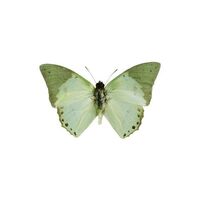 Coincidentally | parksungseung 