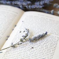 [ REBORN 1827] Waiting for the Heart 