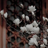 เรียกข้าว่าพี่ใหญ่สิ(งดอัพชั่วคราว นักแต่งติดกิจจากโรงเรียน)