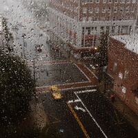 [AU] Sambucky | Rainy Day