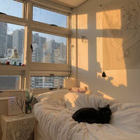 [OS] MHA l allaizawa กลับมาได้ไหม..